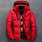 Short Slim-Fit Warm Jacket